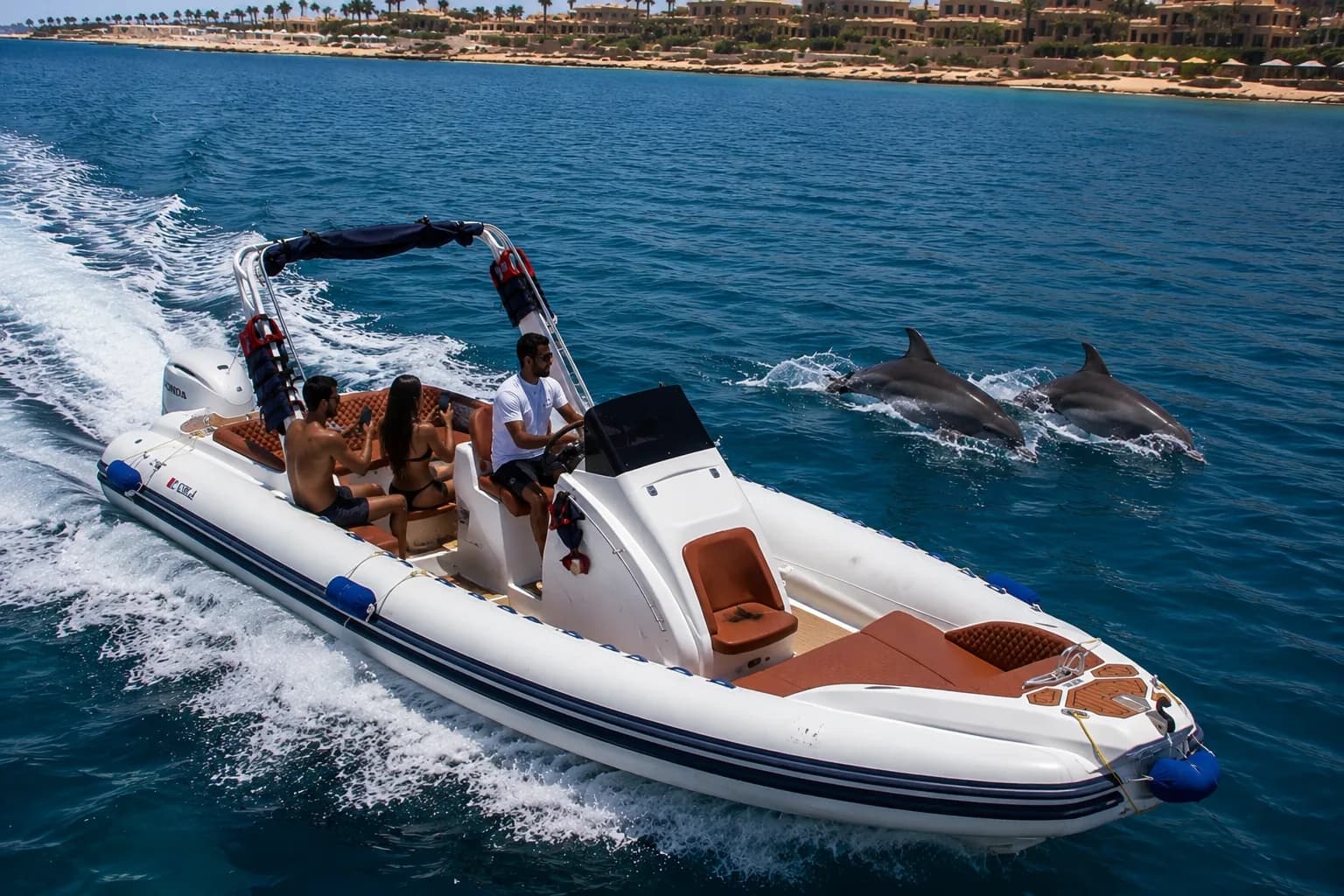 Speedboat privé vers Dolphin House (3)