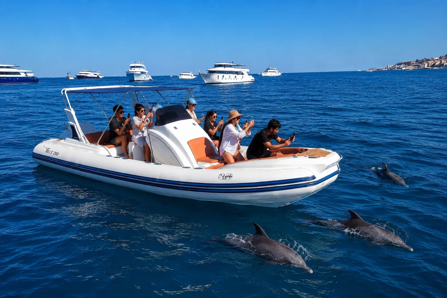 Speedboat privé vers Dolphin House (4)