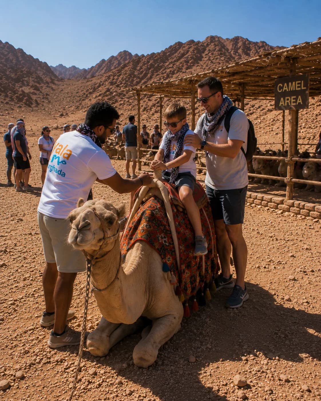 Super Safari Adventure, starry sky over the desert